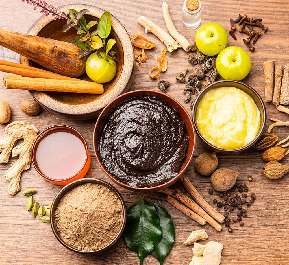 Zutaten zur Herstellung von Chyawanprash
