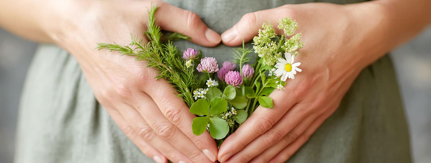 Gastritis homöopathisch behandeln Hand mit Blumen Gastritis homöopathisch behandeln Hand mit Blumen
