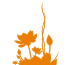 Ayurveda