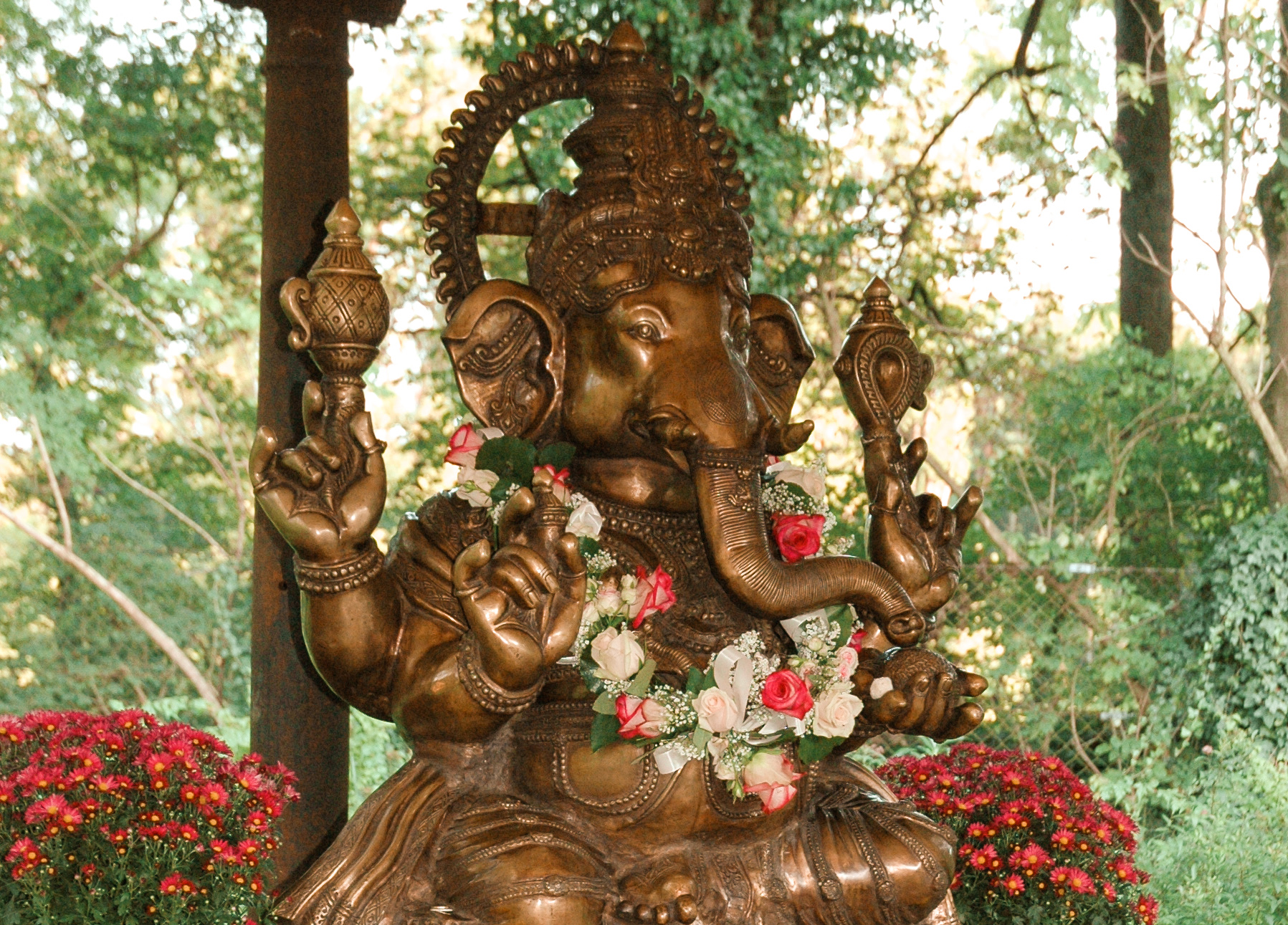 RoSana Immunbooster Kur Ganesha