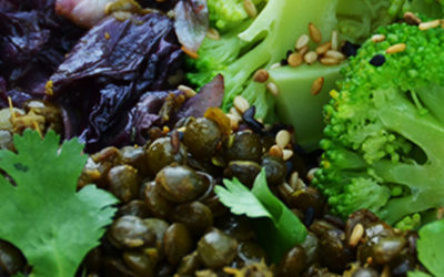 Lauwarmer Linsensprossen Salat