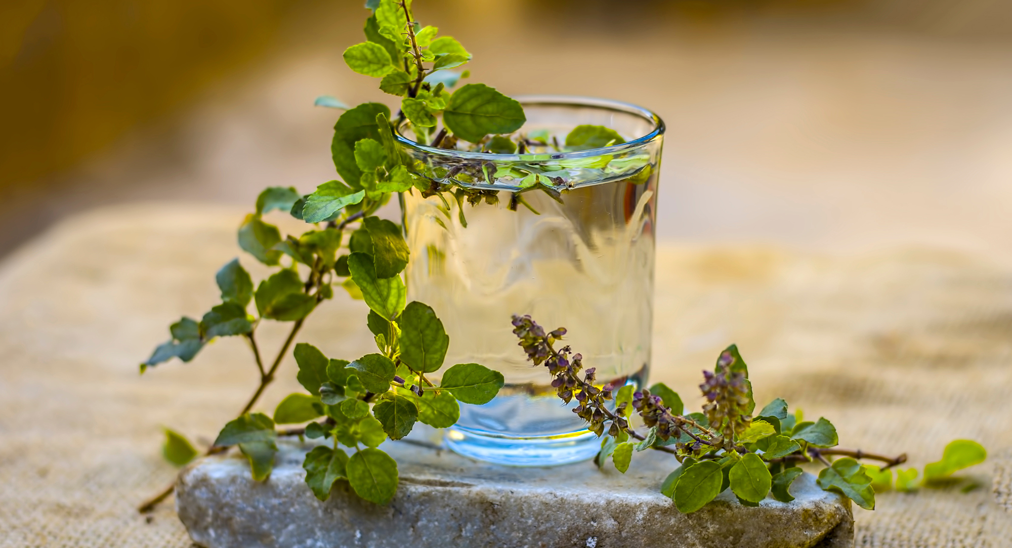 Ayurvedische-Kräuter-Tulsi