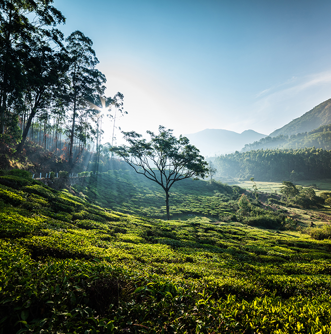 Sharmili-Kerala