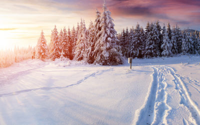 Winter Tipps Landschaft im Schnee