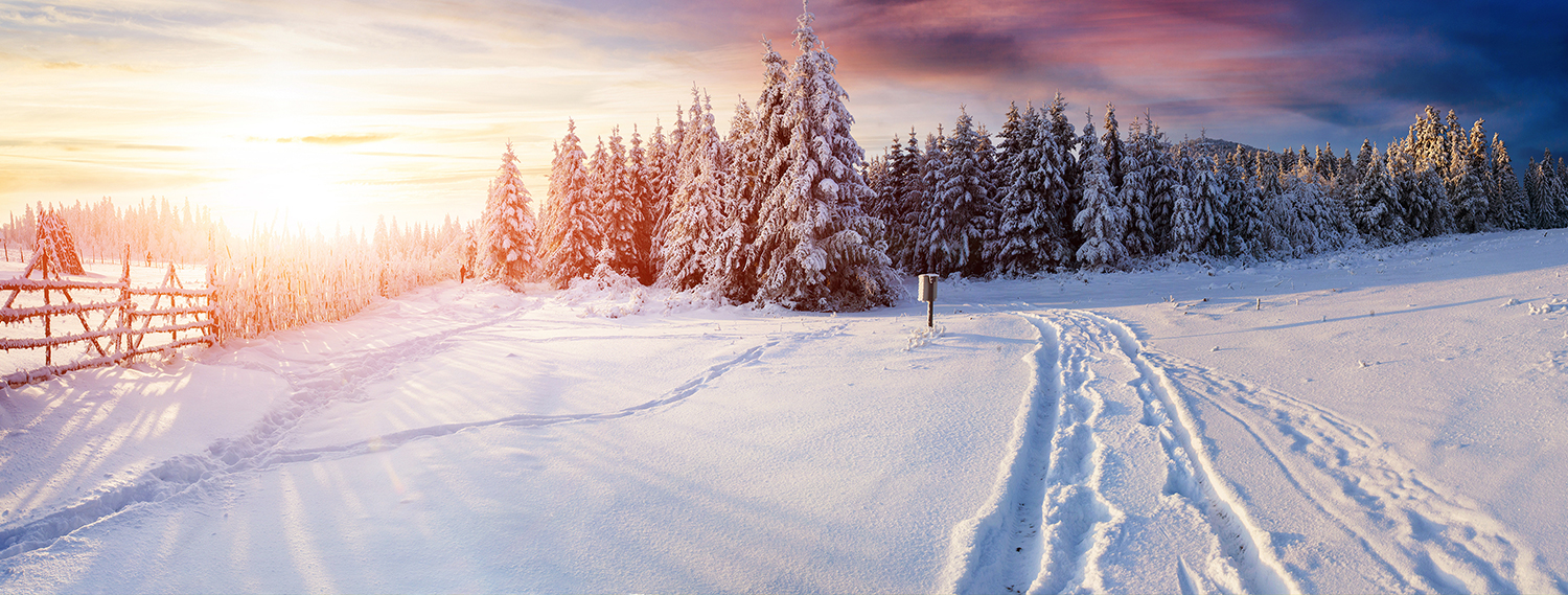 Winter Tipps Landschaft im Schnee