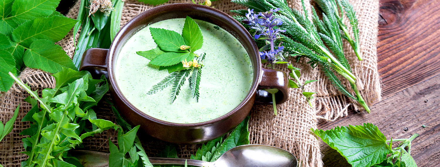 Ayurvedische Wildkräutersuppe