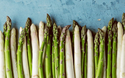 Spargel Banner