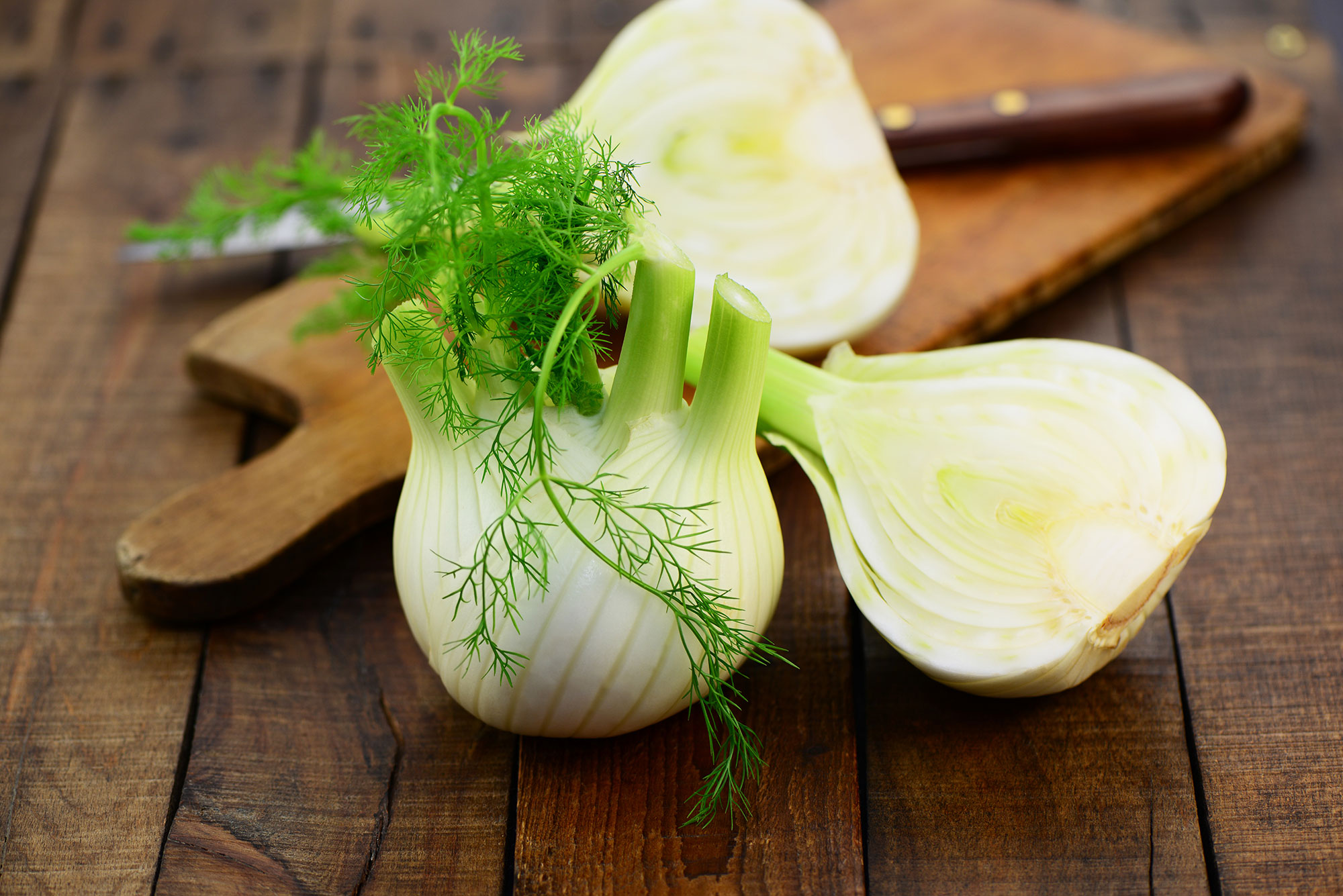 Risotto-Fenchel