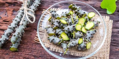 Bild Guduchi – die ayurvedische Heilpflanze für Immunsystem, Haut und innere Balance